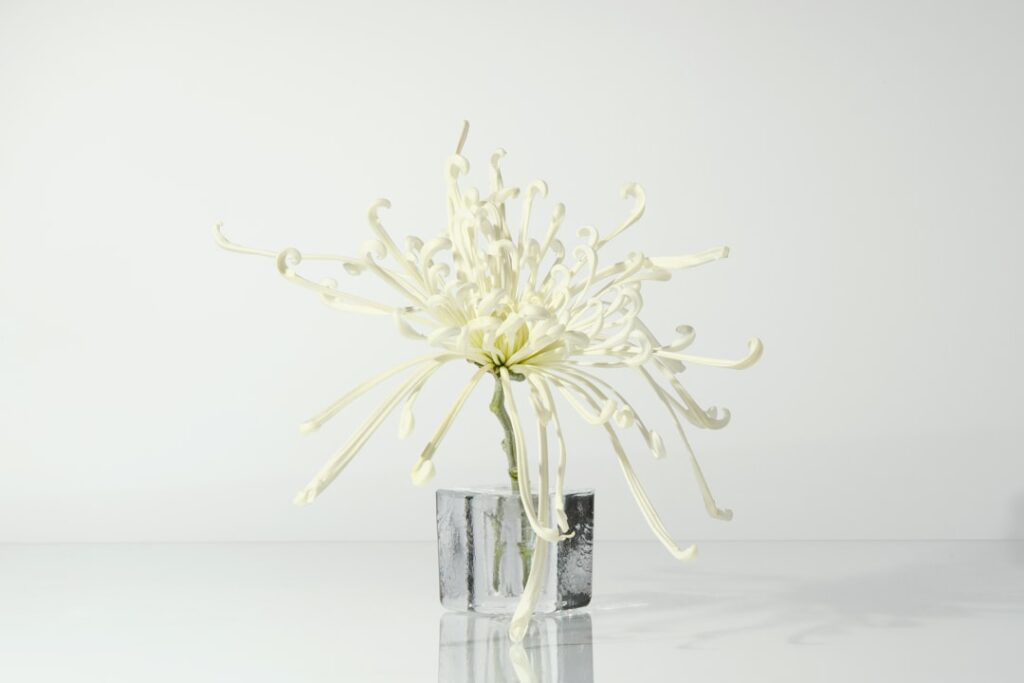 Zo haal je een vetvlek uit kleding: simpele oplossingen voor thuis